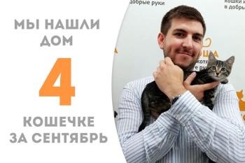 Меньше месяца потребовалось котёнку-девочке Фокуснице, чтобы найти дом!