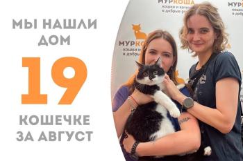Нежнейшая Черемша нашла дом!
