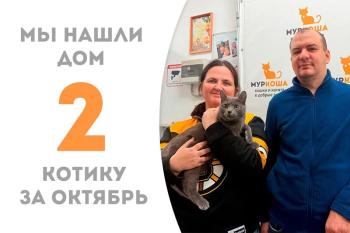 Красавец Щеголëк обрёл дом!