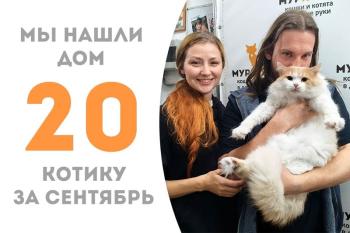 Лимонный Щербет нашёл дом!