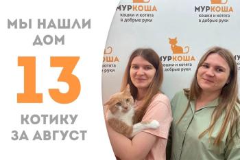 Обворожительный Элар стал домашним любимцем!