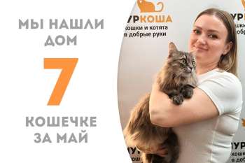 Прекрасная Акалифа уезжает в уютный дом!