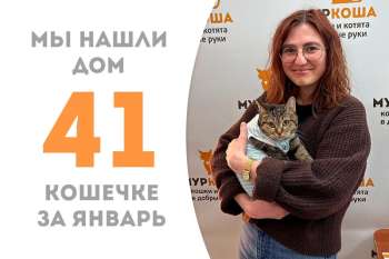 Амурная Айна нашла дом!
