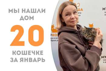 Уверенная в себе кошечка Бэбифэйс нашла дом!