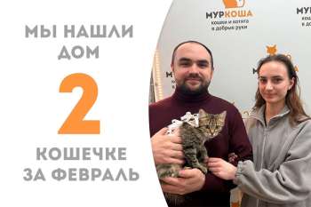Сказочная Бобрита нашла любимую семью!