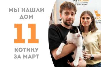 Прекрасный Денчик обрел дом!