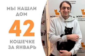 Восхитительная Джедика уезжает домой с любимым человеком!