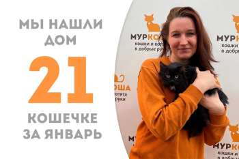 Таинственная Евдокия обрела дом!