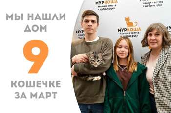Кошечка Фета нашла себе семью, пробыв в приюте всего три недели!
