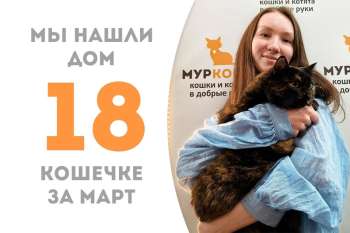 Королевишна Инфанта теперь домашняя!