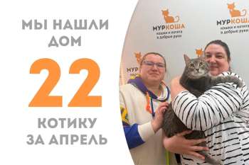 Очаровательный Ипполит нашел новый дом!