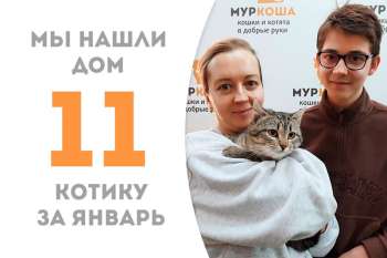 Удивительный Кабачочек нашел дом!