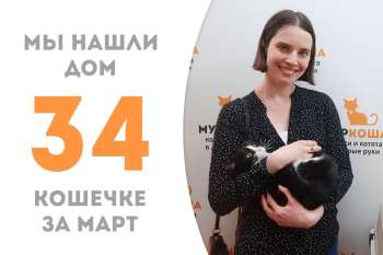 Красотка Канапешка обрела дом!