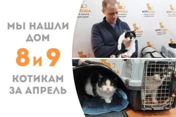 Черно-белые Канкун и Иветти теперь домашние!
