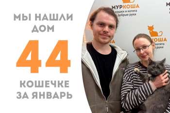 Мягкосердечная Харти стала домашней!