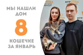 Добрейшая Кирисса нашла уютный дом!