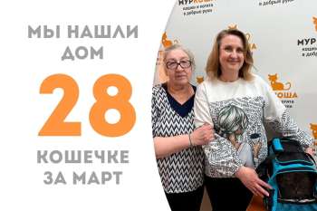 Обворожительная Клаша теперь домашняя!