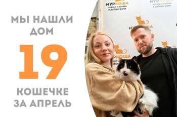 Важная дама Комендантша теперь дома!