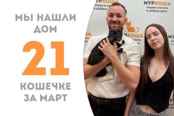 Утонченная Краюшка нашла дом!