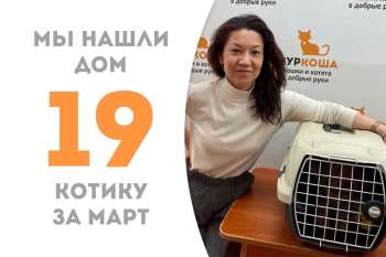 Замечательный котик Кутузов обрел дом!