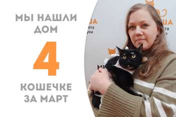 Обворожительная Квинта обрела семью!