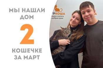 Чуть больше месяца потребовалось Ласочке, чтобы обрести дом!
