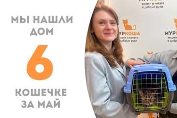 Обрести семью посчастливилось Ловите!