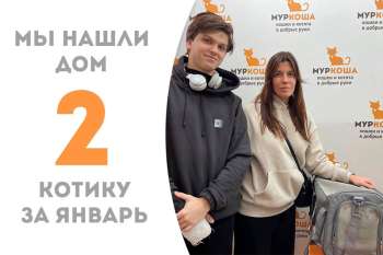 Рыжий счастливчик Лучезар стал домашним!