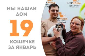 Чудодейственная кошечка Макраме обрела заботливые ручки!