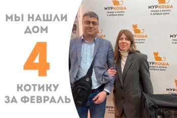 Изумительный Маоли стал домашним!