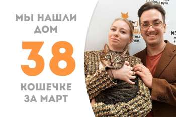 Сказочная Марлесса нашла любимую семью!