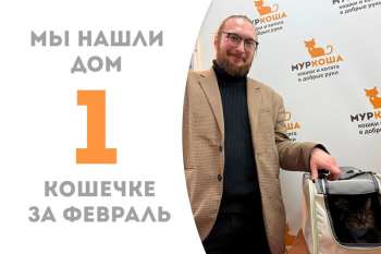 Ласковая мурчалка Микруля стала домашней!
