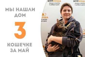 Роскошная Миролюба нашла дом!
