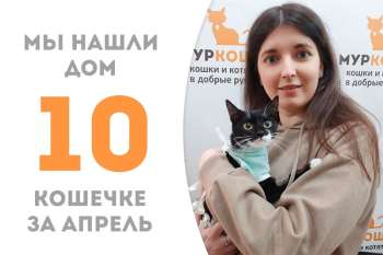 Красотка Монарда нашла дом почти за 2 месяца!