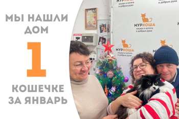 Грациозная дама Мулан обрела дом!
