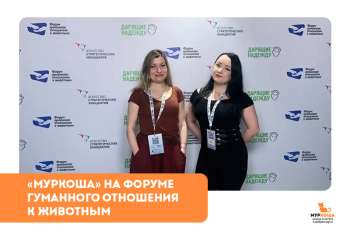 Форум гуманного отношения к животным