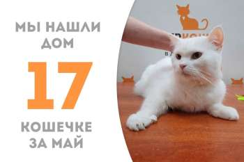 Невероятная Никитишна стала домашней любимицей и уехала к Легенде!