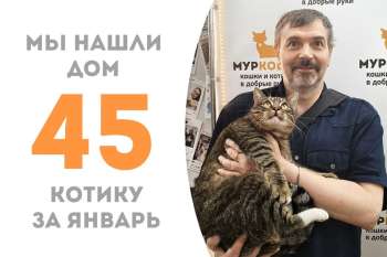 Уважаемый Панеттон обрел дом!