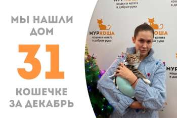 Красавица Поликсена отправляется к братику Хвалиславу!