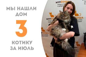 Лапушка Порфирий нашел дом!