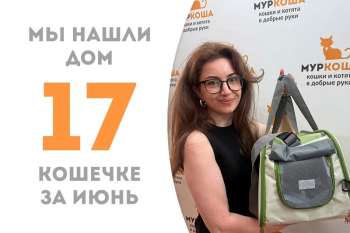 Солнечная Рафэлла дома!