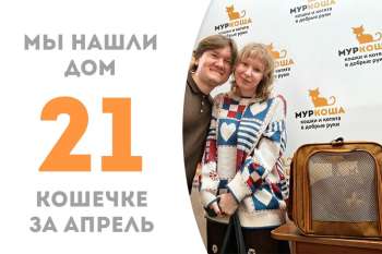 Шикарная Рут стала домашней любимицей!