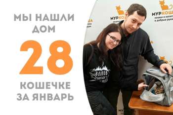 Лучезарная Скалолазка нашла дом!