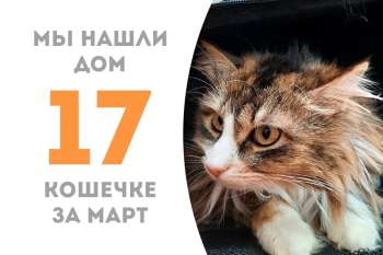 Стесняшка Слобода теперь дома!