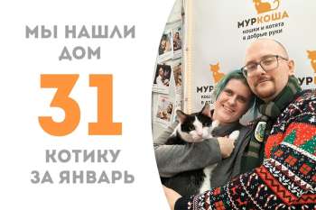 Великолепный Сюзерен обрёл своё счастье!
