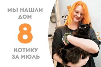 Харизматичный Труман дома!