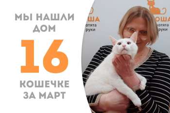 Белоснежка Верде обрела дом!