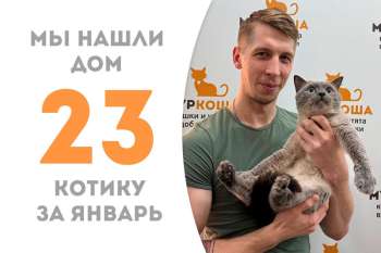 Голубоглазому Викингу понадобился один месяц, чтобы найти дом!
