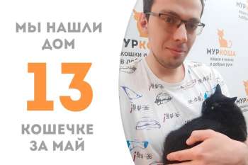 Черничная леди Якитория обрела счастье с родным человеком!