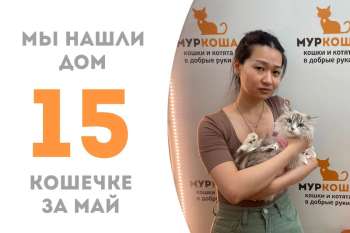 Обворожительная Зефирочка стала домашней за 2 месяца!